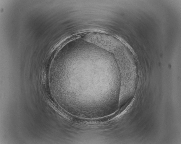 X0000083640969200703051656