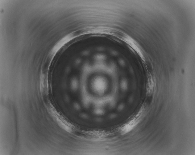 X0000083640980200703051656