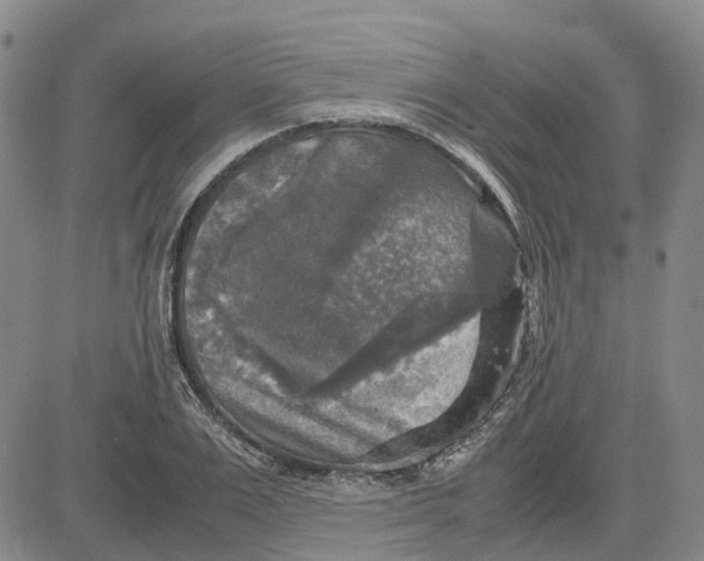 X0000083640983200703051656