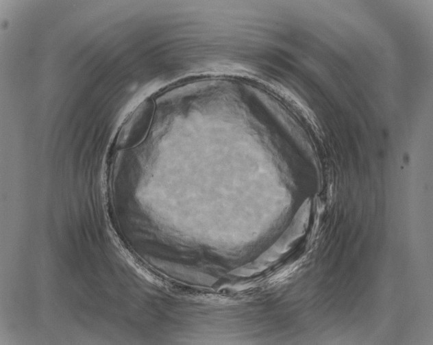 X0000083640990200703051656