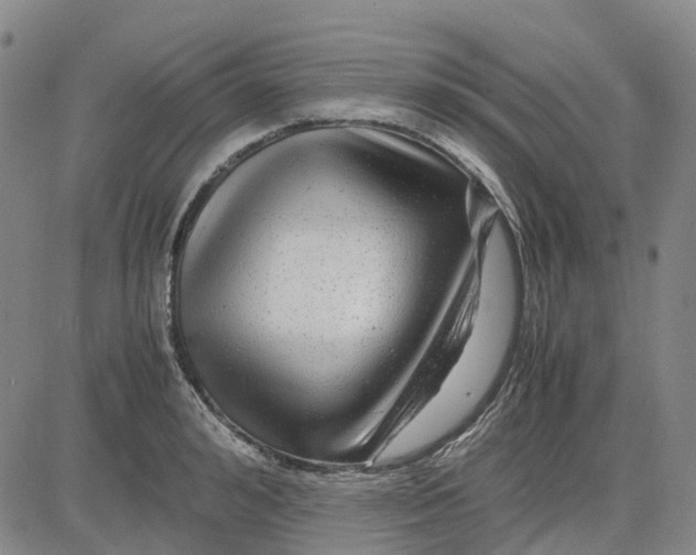 X0000083640992200703051656