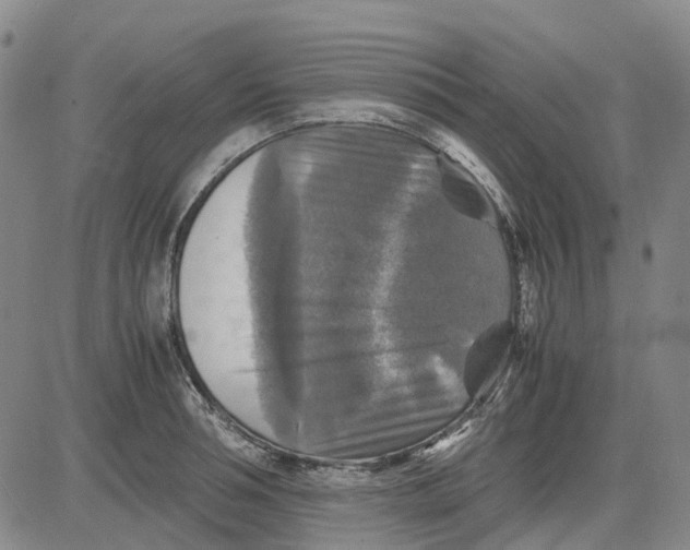 X0000083640994200703051656