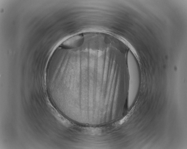 X0000083640996200703051656