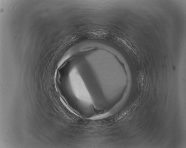 X0000083641009200703051655