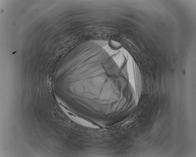 X0000083641013200703051655