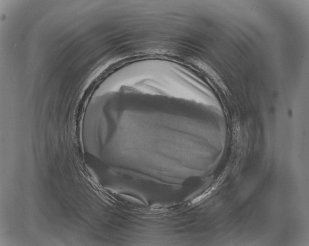 X0000083641023200703051655