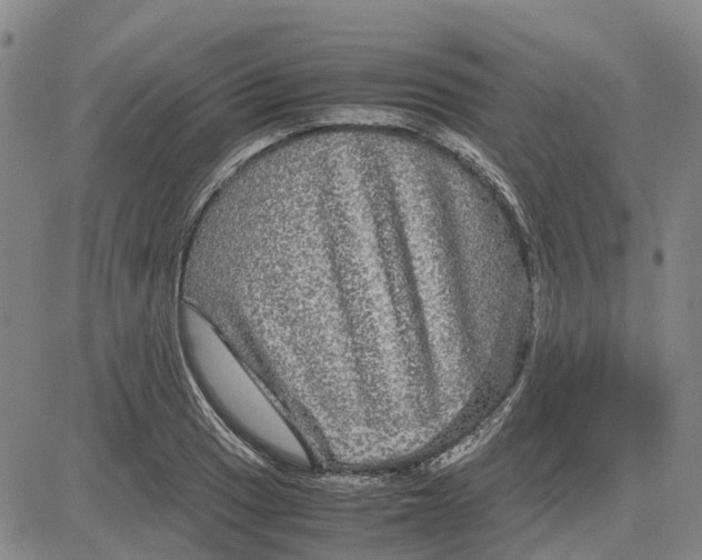 X0000083641033200703051655
