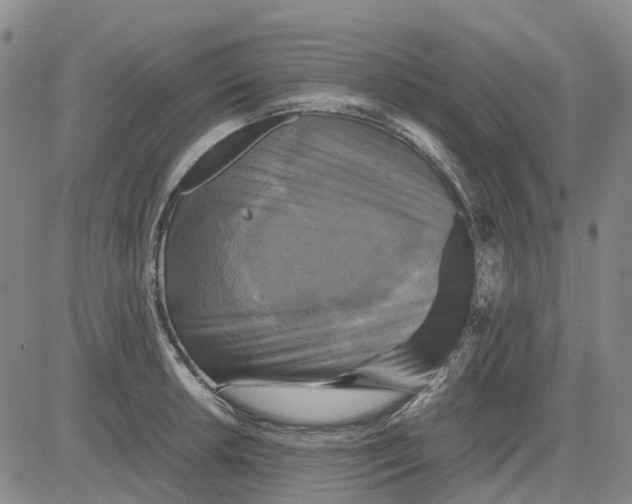 X0000083641042200703051655