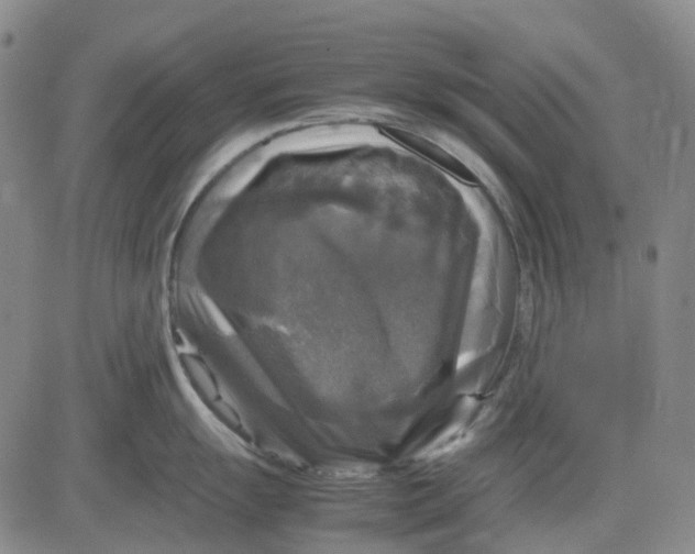 X0000083641055200703051656