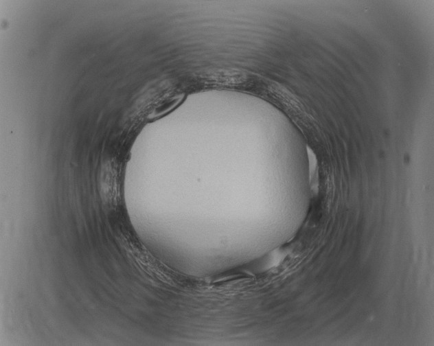 X0000083641058200703051655