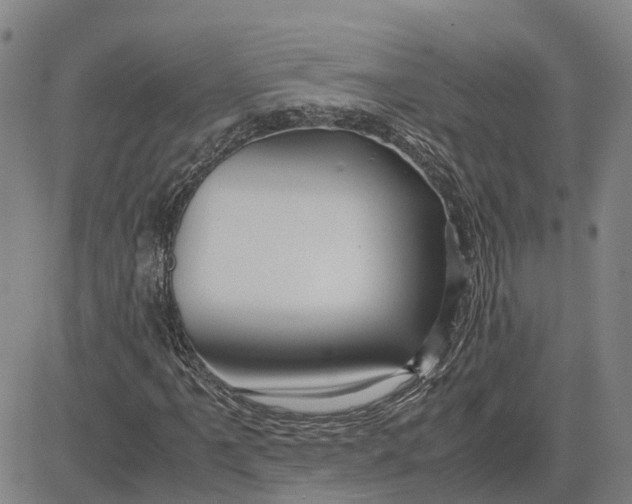 X0000083641061200703051655