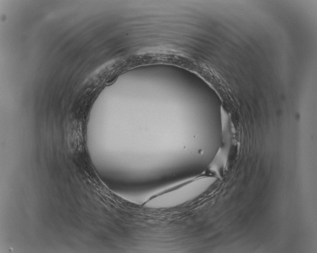 X0000083641062200703051655