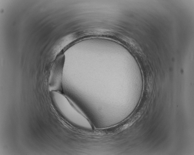 X0000083641073200703051655