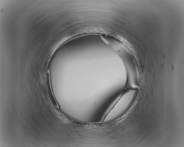 X0000083641089200703051654