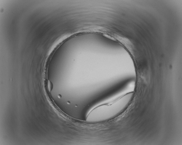 X0000083641093200703051654