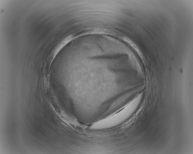 X0000083641097200703051654