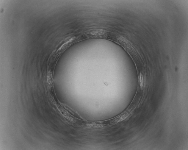 X0000083641107200703051653