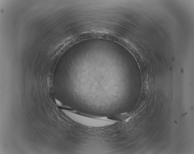 X0000083641110200703051653