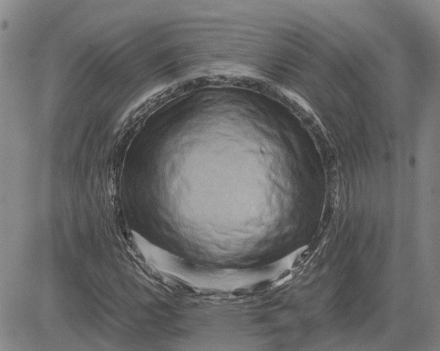 X0000083641112200703051653
