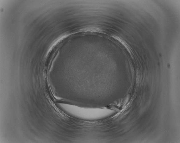 X0000083641115200703051653