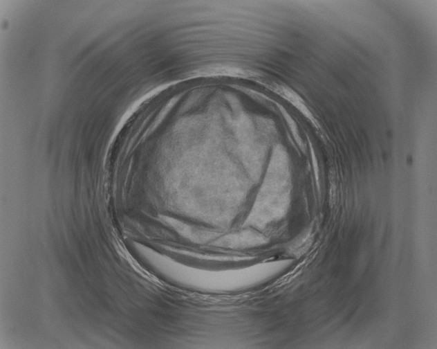 X0000083641116200703051653