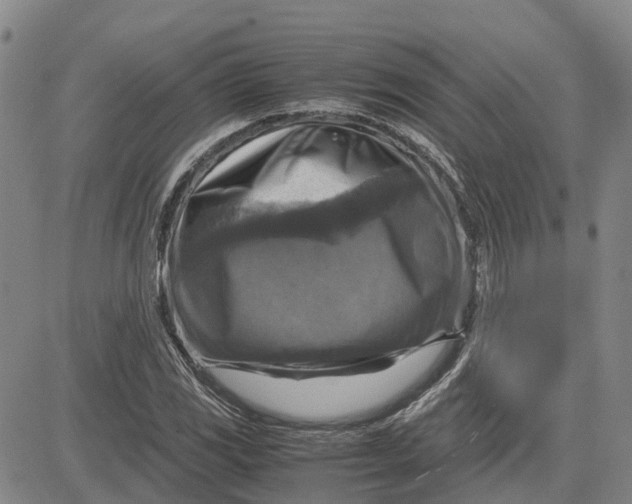 X0000083641117200703051653