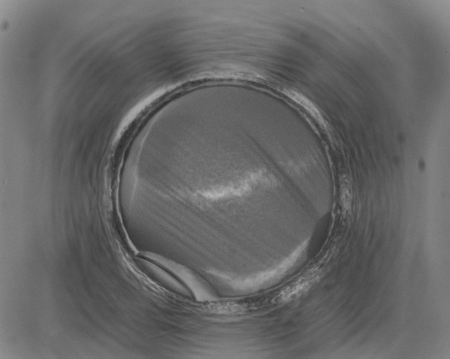 X0000083641120200703051654