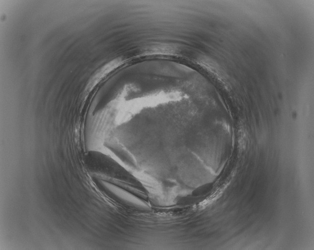 X0000083641121200703051654
