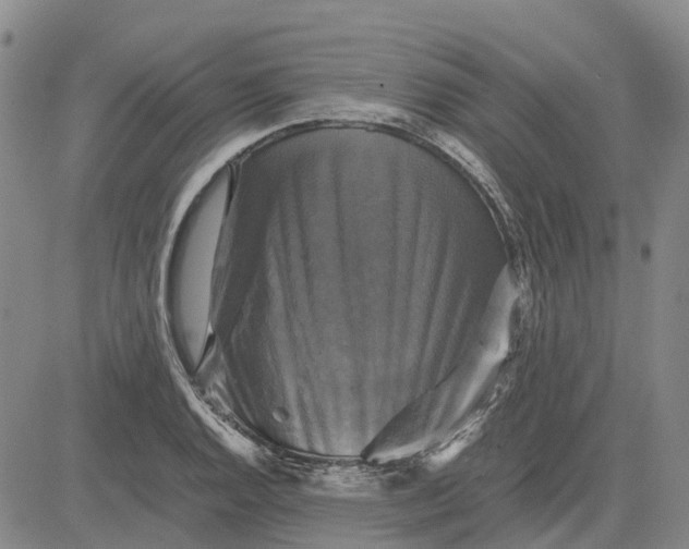 X0000083641128200703051654