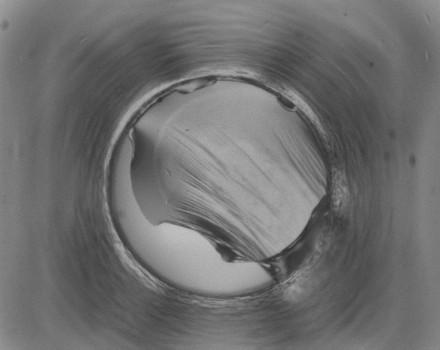 X0000083641132200703051654