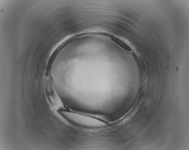 X0000083641134200703051654