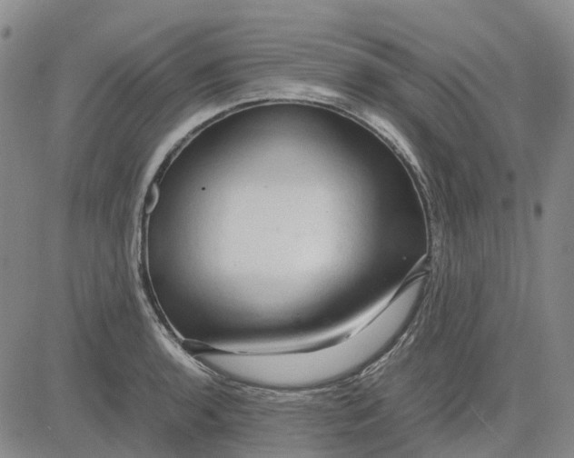 X0000083641136200703051654