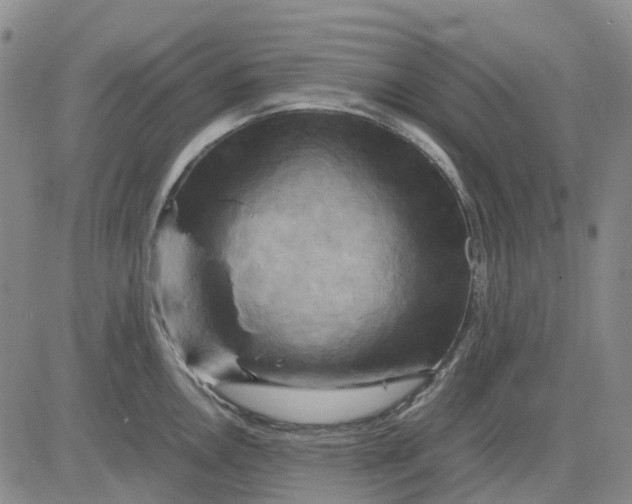 X0000083641146200703051654