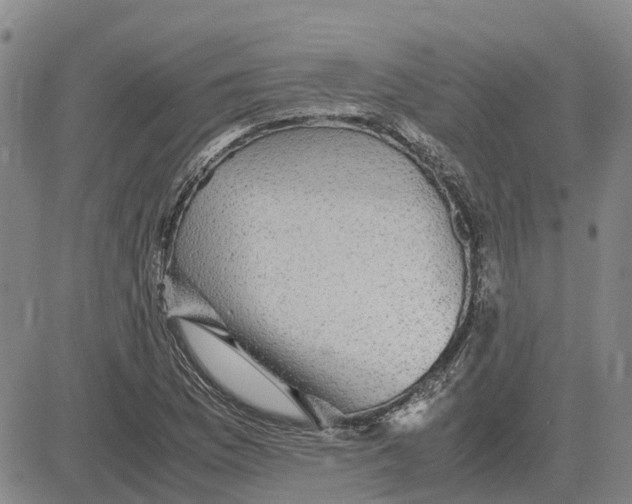 X0000083641169200703051653