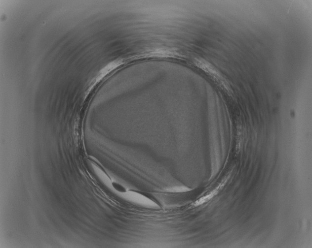 X0000083641170200703051653