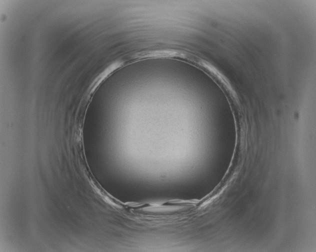 X0000083641193200703051653
