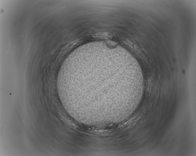 X0000083641201200703051652