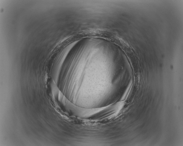 X0000083641206200703051652