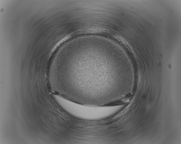 X0000083641210200703051652