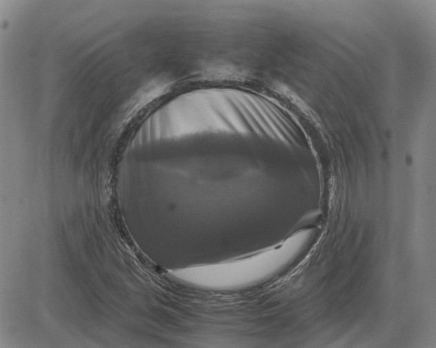 X0000083641213200703051652