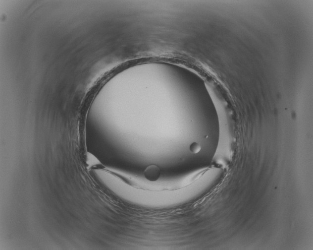 X0000083641214200703051652
