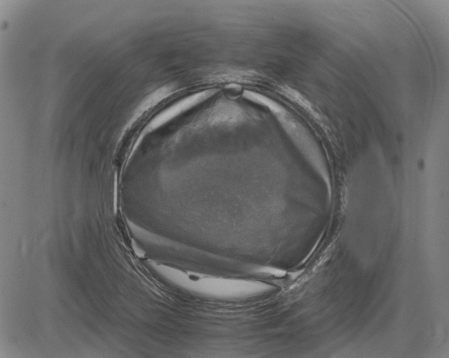 X0000083641219200703051652