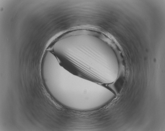 X0000083641230200703051652