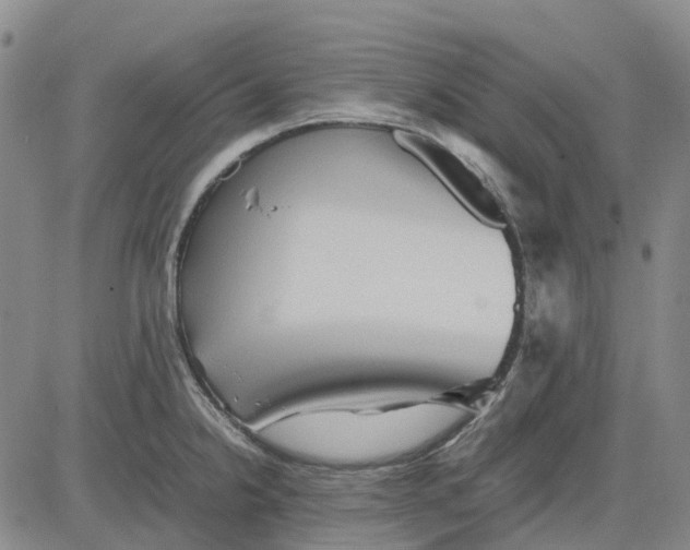 X0000083641238200703051652