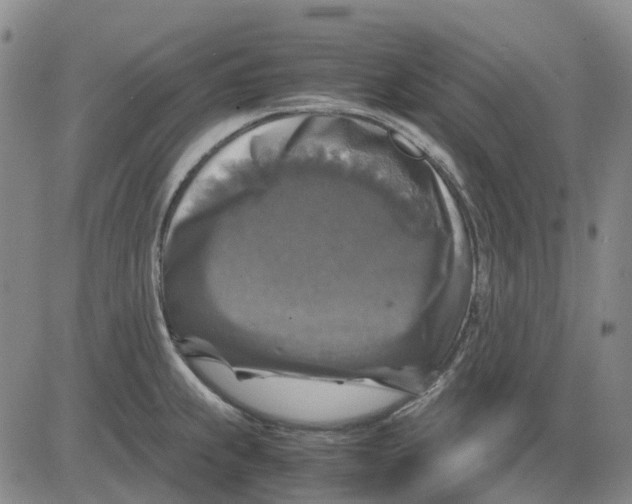 X0000083641239200703051652