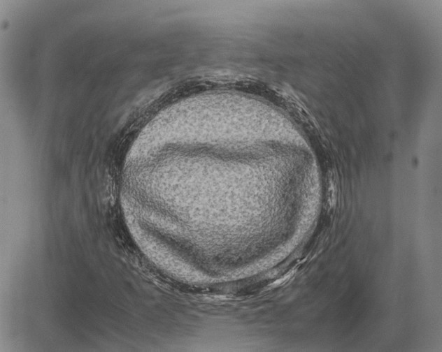 X0000083641253200703051652