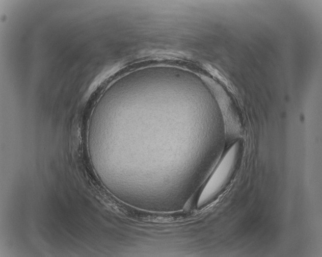 X0000083641261200703051651