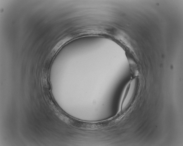 X0000083641273200703051651