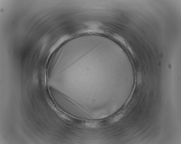 X0000083641274200703051651