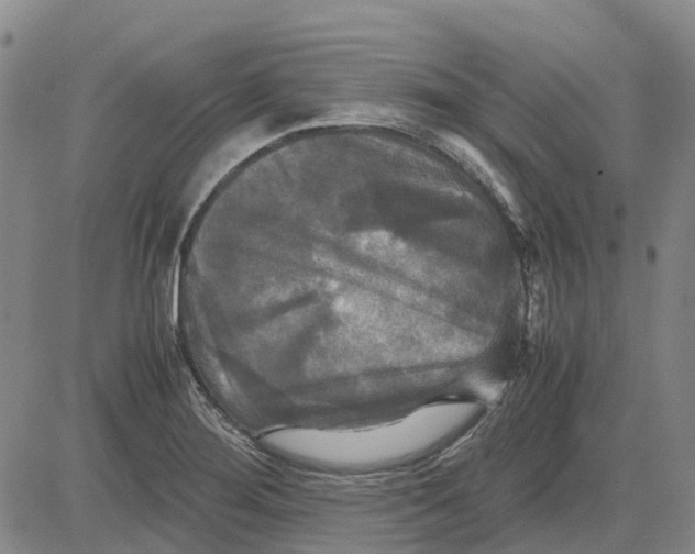 X0000083641276200703051651